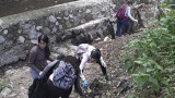 Grupos organizados de la Universidad de Guanajuato trabajan por el medio ambiente 